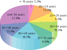 pie chart